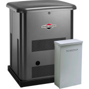 Briggs & Stratton®, 10kW Standby Generator, 150 Amp Symphony II Switch, 40481