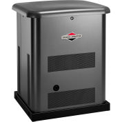 Briggs & Stratton®, 10kW Standby Generator, 100 Amp 16-Circuit Switch, 40451