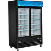 Nexel® Merchandiser Refrigerator, 2 Door, 53.1''Wx31.9''Dx84.4''H