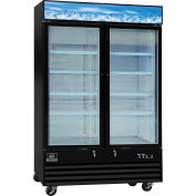 Nexel® Merchandiser Freezer, 2 Glass Doors, 45 Cu. Ft., Black