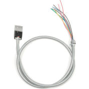 Interion® Multi Circuit Starter Cable - 72"