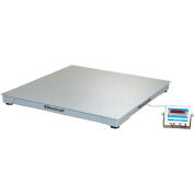 Brecknell DSB Series NTEP Low Profile Pallet Scale With LED Indicator, 5'x5', 10,000 lb x 2 lb