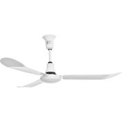 Global Industrial&#153; 60&quot; Industrial Ceiling Fan, Outdoor Rated, 4 Speed, 8000 CFM, White
