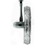 TPI IHP24C, 24 Inch Ceilling Mount Fan Non Oscillating 1/3 HP 4,300 CFM 1 PH Totally Enclosed Motor