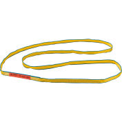 Global Industrial&#8482;Poly Web Sling, HD, Endless w/ Durable Edge, 6Ft L-3200/2500/6400 Lbs Cap