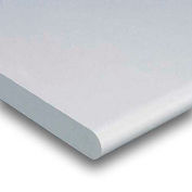 48" W x 30" D x 1-5/8" Thick, Plastic Laminate Safety Edge Workbench Top, Light Gray