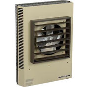 TPI Unit Heater, Horizontal or Vertical Discharge P3P5107CA1N - 7500W 480V 3 PH
