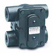 F&T Steam Trap FT015H 1.25 In. H Pattern