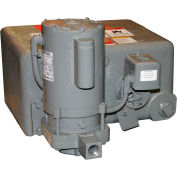 Watchman Unit WC6-20B Simplex Cast Iron Receiver Double Pole Float Switch