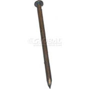 10" x 3/8" Galvanized Steel Anchor Bolt for VersaCart® Outdoor Shopping Cart Corrals