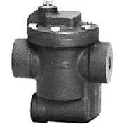 Hoffman Specialty® B0125A-2 Inverted Bucket Steam Trap 404182, 1/2"