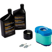 Briggs & Stratton®, Maintenance Kit for Standby Generator Model 40326