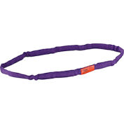 Global Industrial™ Polyester Round Sling, Endless, 3 Ft, 2600/2100/5200 Lbs Cap