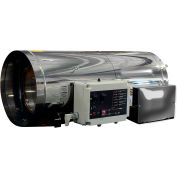 Heatstar Commercial Greenhouse Heater, LP/NG Dual Fuel, 120V, 250000 BTU