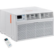 Through The Wall Air Conditioner 10,000 BTU, Cool with Heat, 208/230V