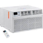 Through The Wall Air Conditioner 12,000 BTU, Cool with Heat, 208/230V