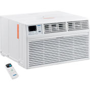 Through The Wall Air Conditioner 14,000 BTU, Cool with Heat, 208/230V