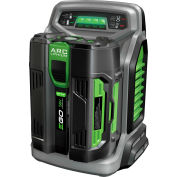 EGO CH5500 550W Charger