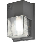 Global Industrial LED Security Light, 30W, 2400 Lumens, 5000K, 100-277 Volts