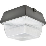 Global™ LED Canopy Light, 50W, 4000 Lumens, 5000K, Surface Mount