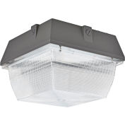 Global Industrial™ LED Canopy Light, 100W, 8100 Lumens, 5000K, Surface Mount