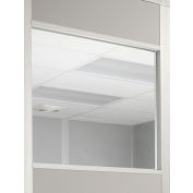 Window For 4 Ft Panel 1/4 Inch Clear Tempered Safety Glass