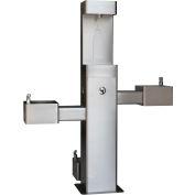 Global Industrial Outdoor Bottle Filler & Bi-Level Fountain w/ Pet Station & Filter, Stainless