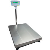 Adam Equipment GFK Series NTEP Digital Floor Checkweighing Scale, 600 lb x 0.05 lb