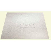 Genesis Stucco Pro Ceiling Panel 760-00, Waterproof & Washable, 2'L X 2'W, White - 12/Case