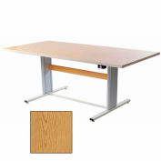 Infinity™ Powered Height Adjustable Group Therapy Table - 72"L x 36"W Oak