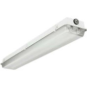 Lithonia DMW 2 54T5HO MV GEB10PS90 Enclosed And Gasketed Industrial 2 Lamp 54w High Output Ballast