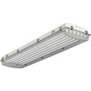 Lithonia Lighting FHE 632L 1/41/2 CS89 High-Pressure Hose-Down Food Processing, 6 Lamp, T8, 32W