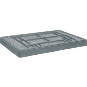 Buckhorn TL42290400SG000 - 42x29 - Agricultural Bulk Box Lid Light Gray