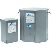 Acme T181048 Lighting Transformers 1 PH, 60 Hz 120 X 240 Volt Input 12/24 Volt Output, 0.1 KVA
