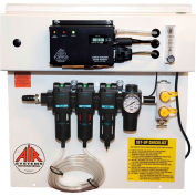 Air Systems International 30 CFM Grade-D Breathing Air Panel, 2 Outlets, Hansen Fitting, BB30-COPM