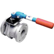 American Valve 4000D-4 Ball Valve, Flanged, 4", Ductile Iron