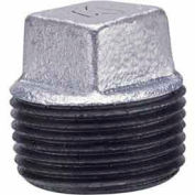 3/4 In Galvanized Malleable Cored Plug 150 PSI Lead Free