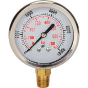 Dynamic CF1P-420A Glycerine Filled Pressure Gauge 6000 psi 2-1-2 Dial 