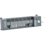 TPI Pump House Convection Utility Heater RPH15A 500W 120V