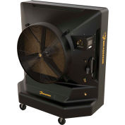Big Ass Fan® 36" Cool-Space Evaporative Cooler, 9700 CFM, 0.75 HP, Single Phase