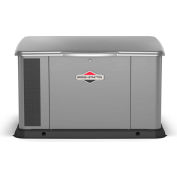 Briggs & Stratton 20kW Dual Fuel Standby Generator - 120/240V - 40637
