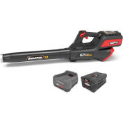 Snapper 1687879 XD 82V 130MPH 550CFM Cordless Handheld Blower Kit W/ 2.0Ah Battery & Charger