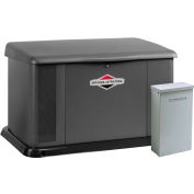 Briggs & Stratton®, 17kW Standby Generator, 150 Amp Symphony II Switch, 40567