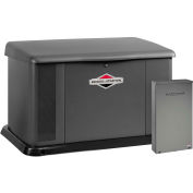 Briggs & Stratton®, 20kW Standby Generator, Dual 200 Amp Symphony II Switch, Alumin Encl, 40585