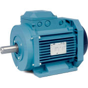 Baldor-Reliance Metric IEC Motor,MM06184-AP,3PH,230/400/460V,1500/1800RPM,.18/.25 KW/HP,50/60Hz,D63