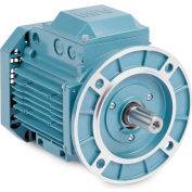 Baldor-Reliance Metric IEC Motor, MVM07372D-AP,3PH,230/400/460V,3000/36000RPM,.37/.5 KW/HP,50/60Hz
