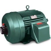 Baldor-Reliance Motor ZDVSNM2333T, 15HP, 1800RPM, 3PH, 60HZ, 256TC, TENV, FOOT