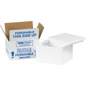 Foam Insulated Shipping Kit, 6"L x 4-1/2"W x 3"H, White