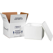 Reusable & Recyclable Insulated Shipping Kit, 9-1/2"L x 9-1/2"W x 7"H, White