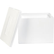 Global Industrial Insulated Foam Containers, 12"L x 10"W x 9"H, White, 1 Pack